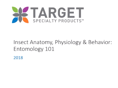 Insect Anatomy, Physiology & Behavior with Target’s Heather King