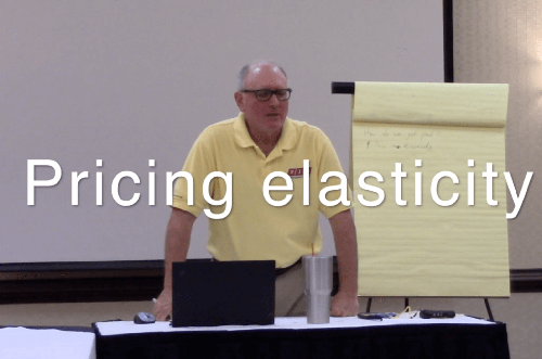 Pricing elasticity