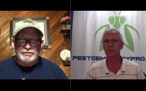 Boring Wood Beetles with Daniel D. Dye II