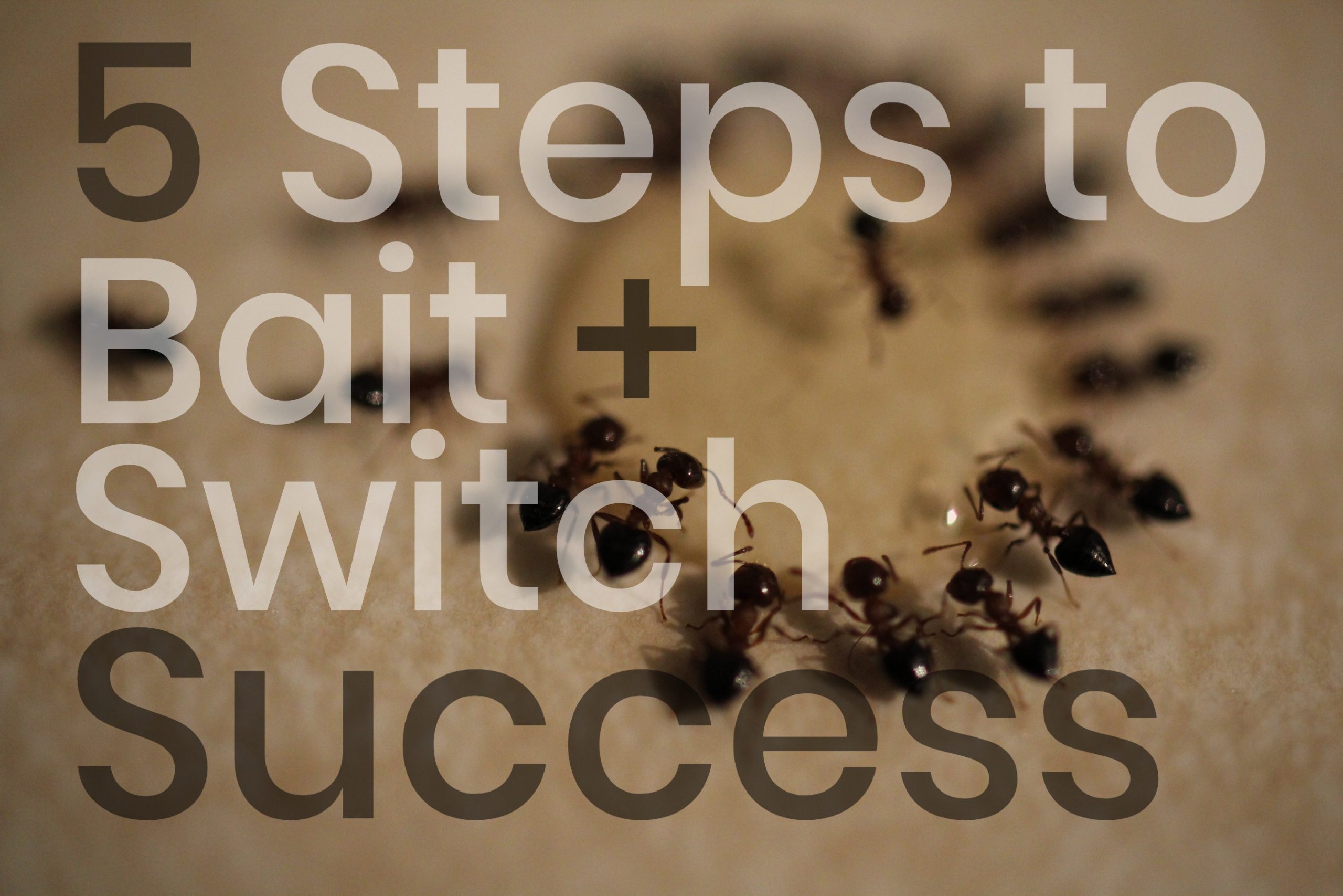 5 Steps to a Successful Bait & Switch